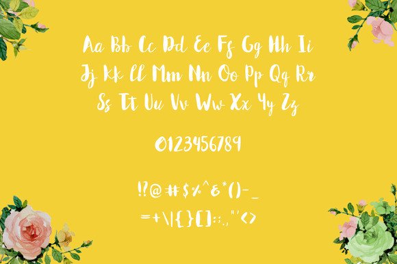 Amelina Font - Preview 3
