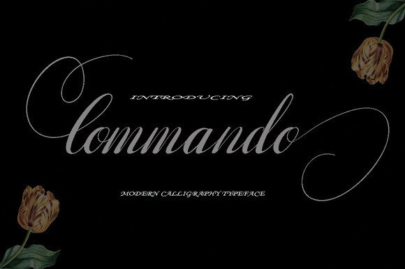 Commando Font by Danti · Creative Fabrica