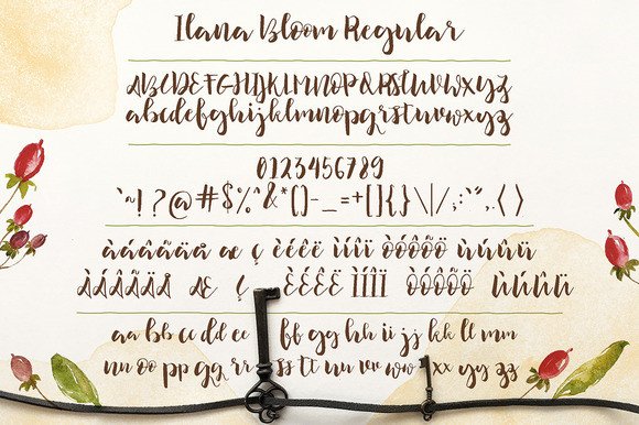 Ilana Bloom Font - Preview 5
