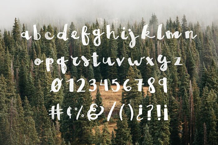 Brown Fox Font - Preview 2