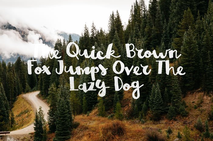 Brown Fox Font - Preview 3