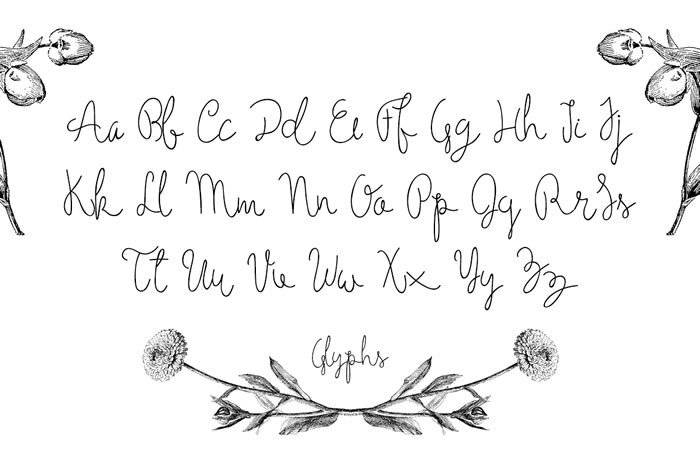 Holga Font - Preview 1