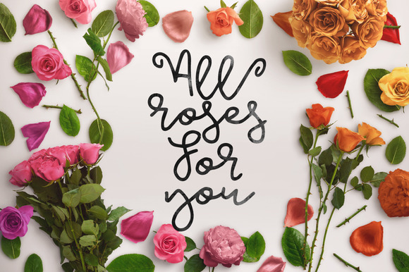 Air Wooster Font - Preview 3