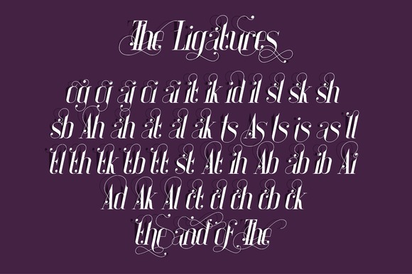 Amira Beauty Font - Preview 5