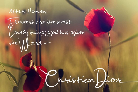 Beauty Signature Font - Preview 4