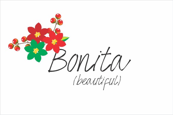 Bonita Font - Preview 4