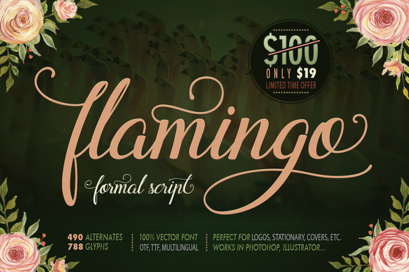 Flamingo