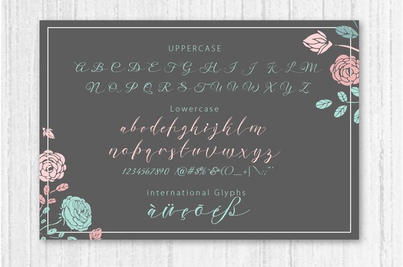 Nella Script Font font preview - 3