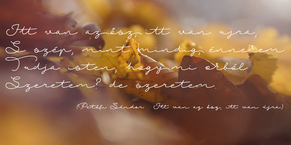 Autumn Chant Font - Preview 2