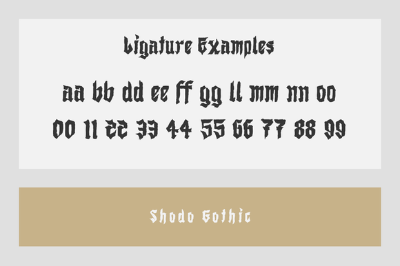 Shodo Gothic Font PNG with transparent background - Preview 2