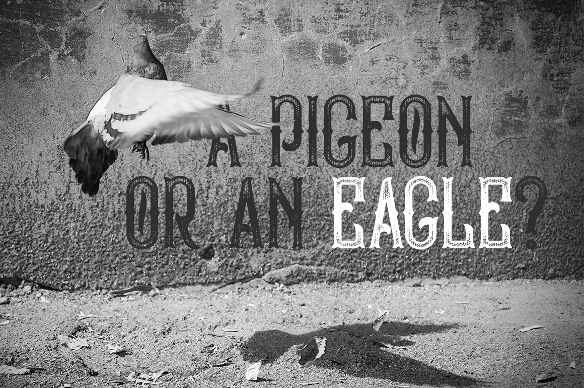 Bald Eagle Font - Preview 3