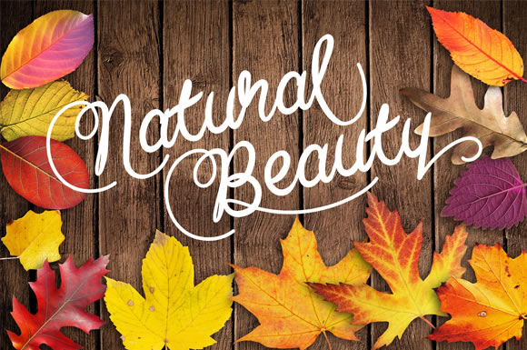 Baline Script Font - Preview 5