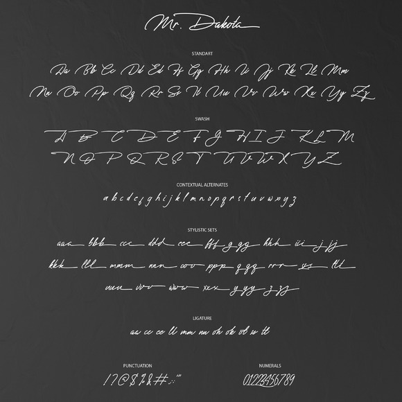 Mr. Dakota Font font preview - 6