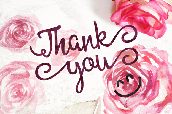 Allessa Script Font - Preview 3