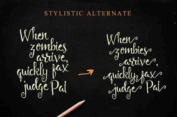 Angelia Script Font - Preview 2