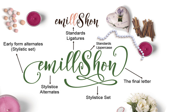 Arillyoni Script Font - Preview 2