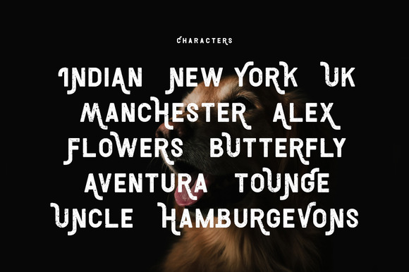 Aventura Font - Preview 1