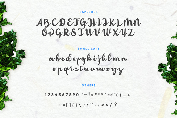Amerizana Font - Preview 2