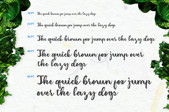 Amerizana Font - Preview 3