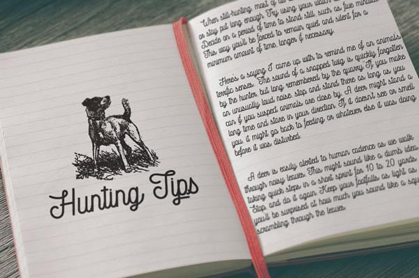 Insomnia Font - Preview 1