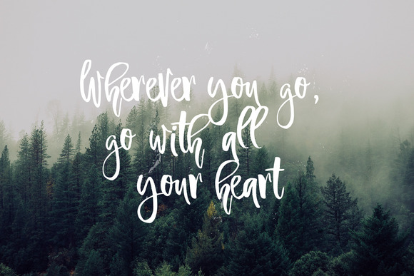 Ambrosia Script Font - Preview 4