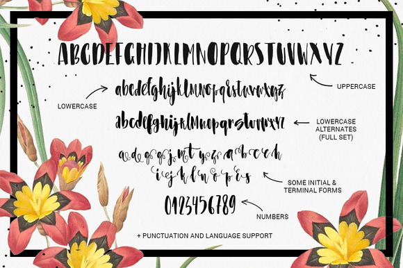 Asparagus Font - Preview 1