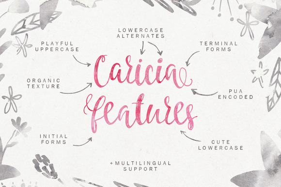 Caricia Font - Preview 1