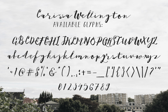 Carissa Wellington Font - Preview 6