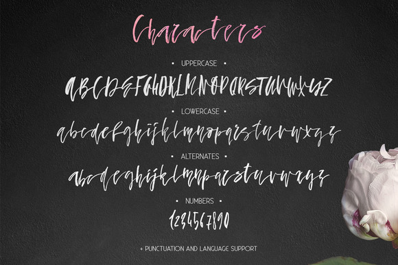 Fallen Angel Font - Preview 2