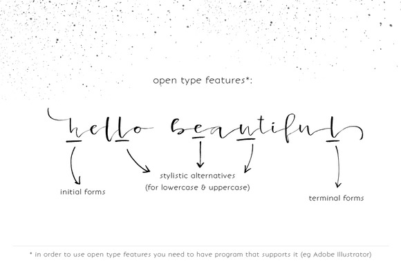 Lancaster Font font preview - 2