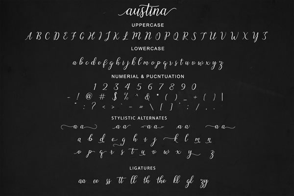 Austina Font - Preview 4