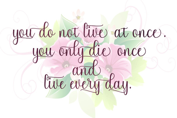 Chinchilla Font PNG with transparent background - Preview 1