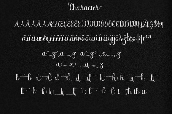 Chinchilla Font - Preview 6