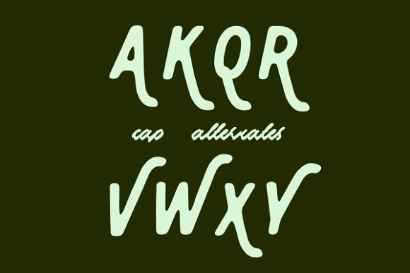 Ale Ligs Font - Preview 1