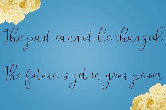 Amanda Font - Preview 6