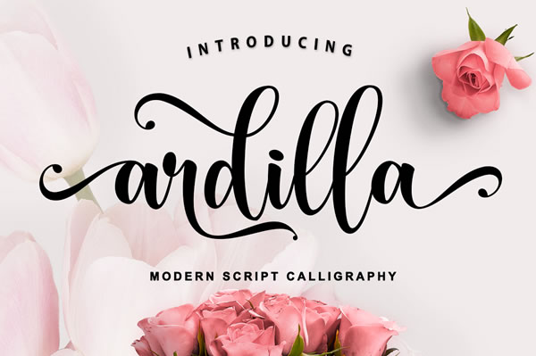 Ardilla Font Script & Handwritten Font By Mercurial