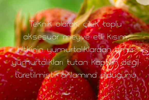 Glorifie Font - Preview 6