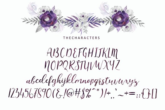 Charissa Font - Preview 5