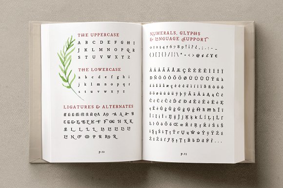 Esther Font - Preview 4
