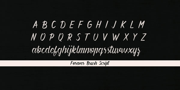 Forever Brush Script Font - Preview 2