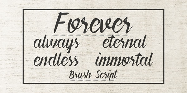 Forever Brush Script Font - Preview 4