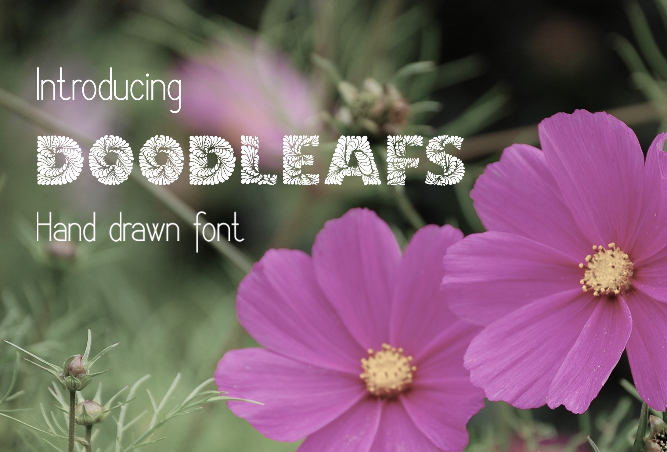 Doodleafs Font PNG with transparent background - Preview 1