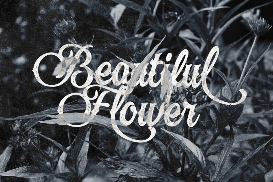 Laventy Script Font font preview - 2