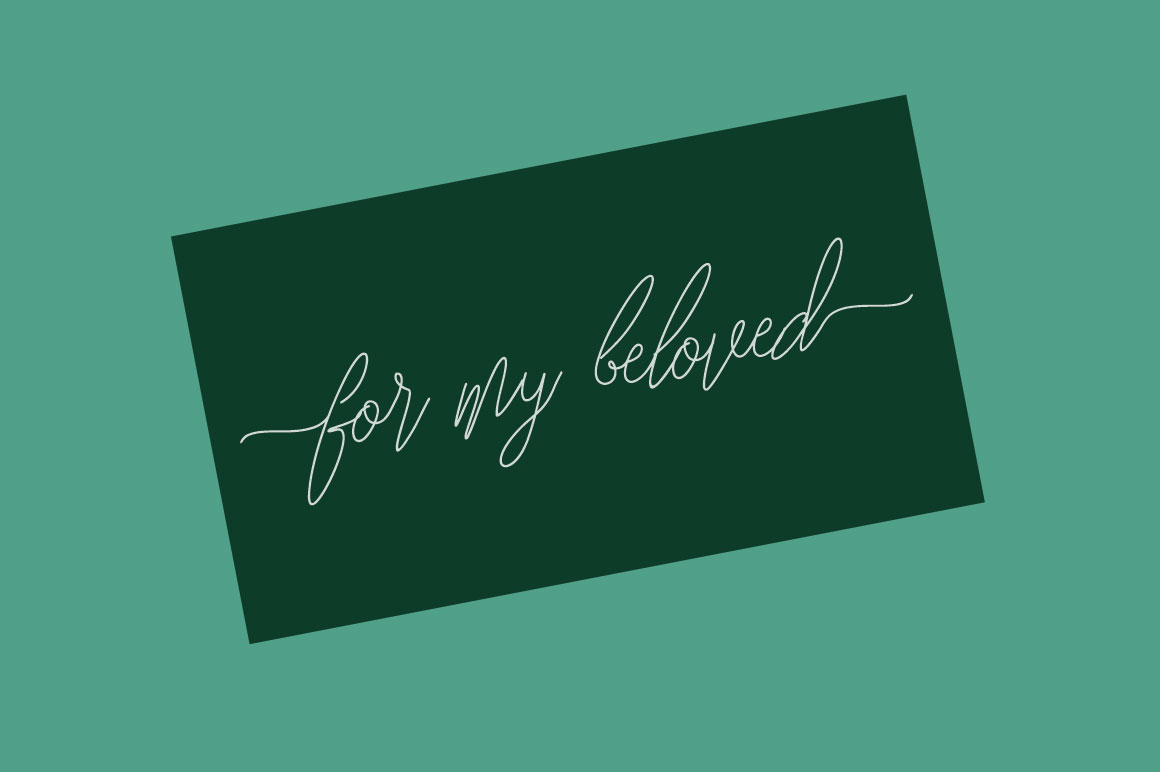 Carolina Font - Preview 4