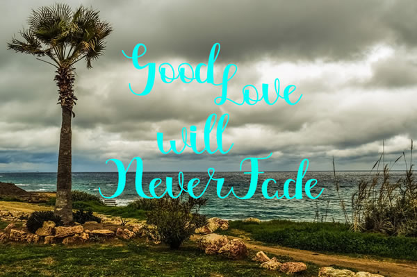 Magdalen Font PNG with transparent background - Preview 3