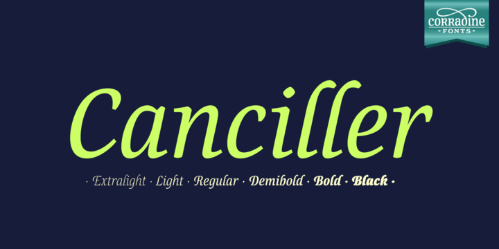 Canciller Family Script & Handwritten Font By Corradine Fonts