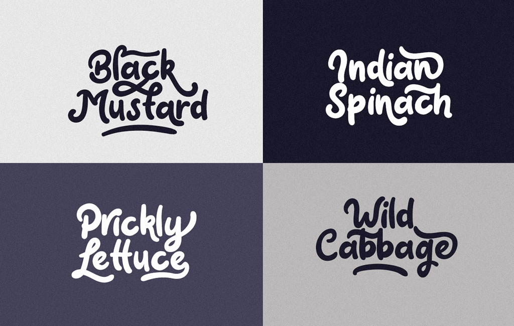 Claytonia Font PNG with transparent background - Preview 3