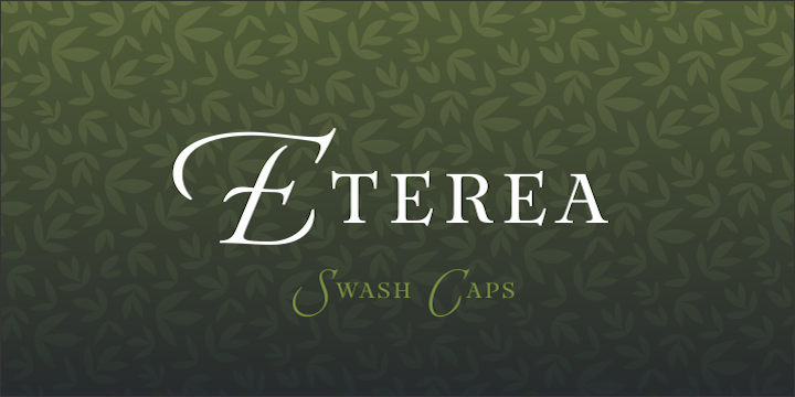 Eterea Family Font - Preview 3