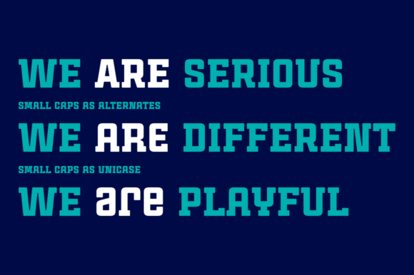 Cintra Slab Family Font - Preview 2