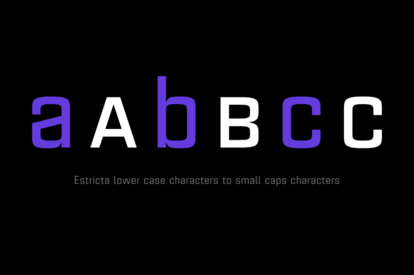 Estricta Family Font PNG with transparent background - Preview 5